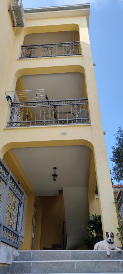 Apartments Sofija Slatine Ngoại thất bức ảnh